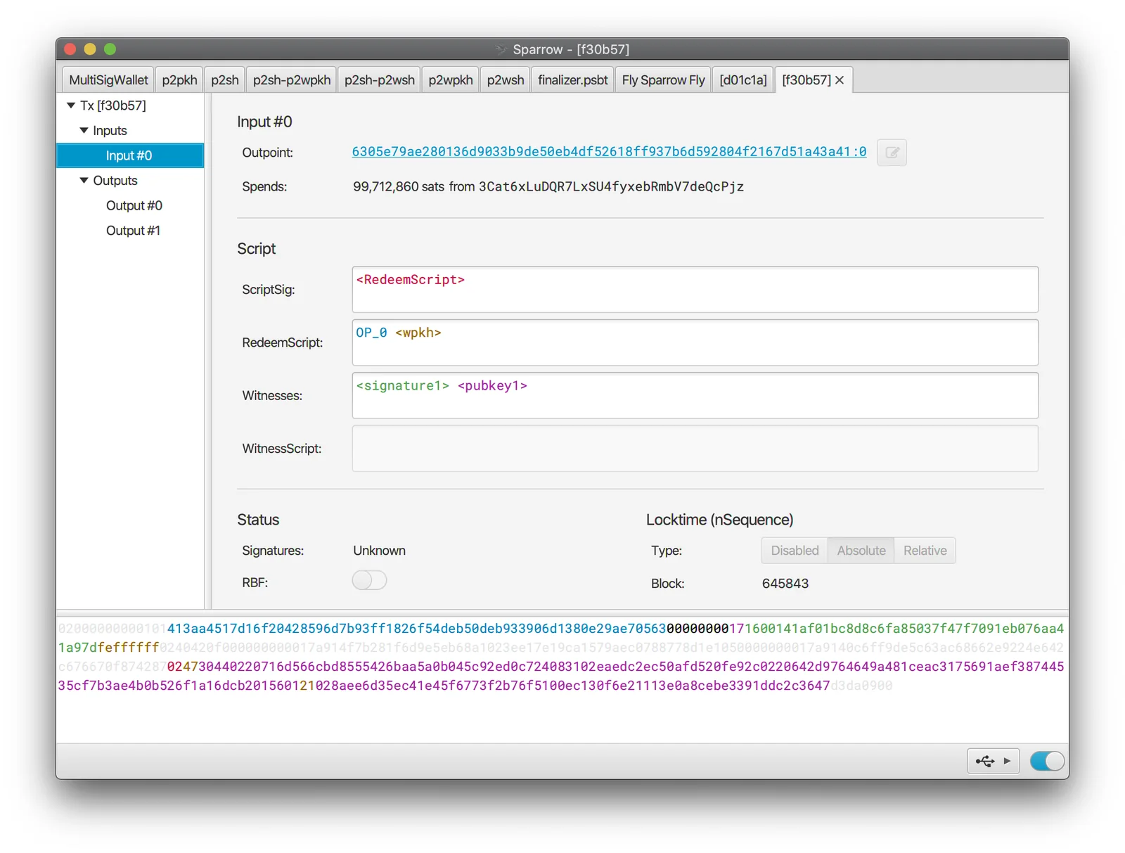Sparrow Wallet transaction viewer used as a blockchain explorer, showing a Bitcoin transaction graph