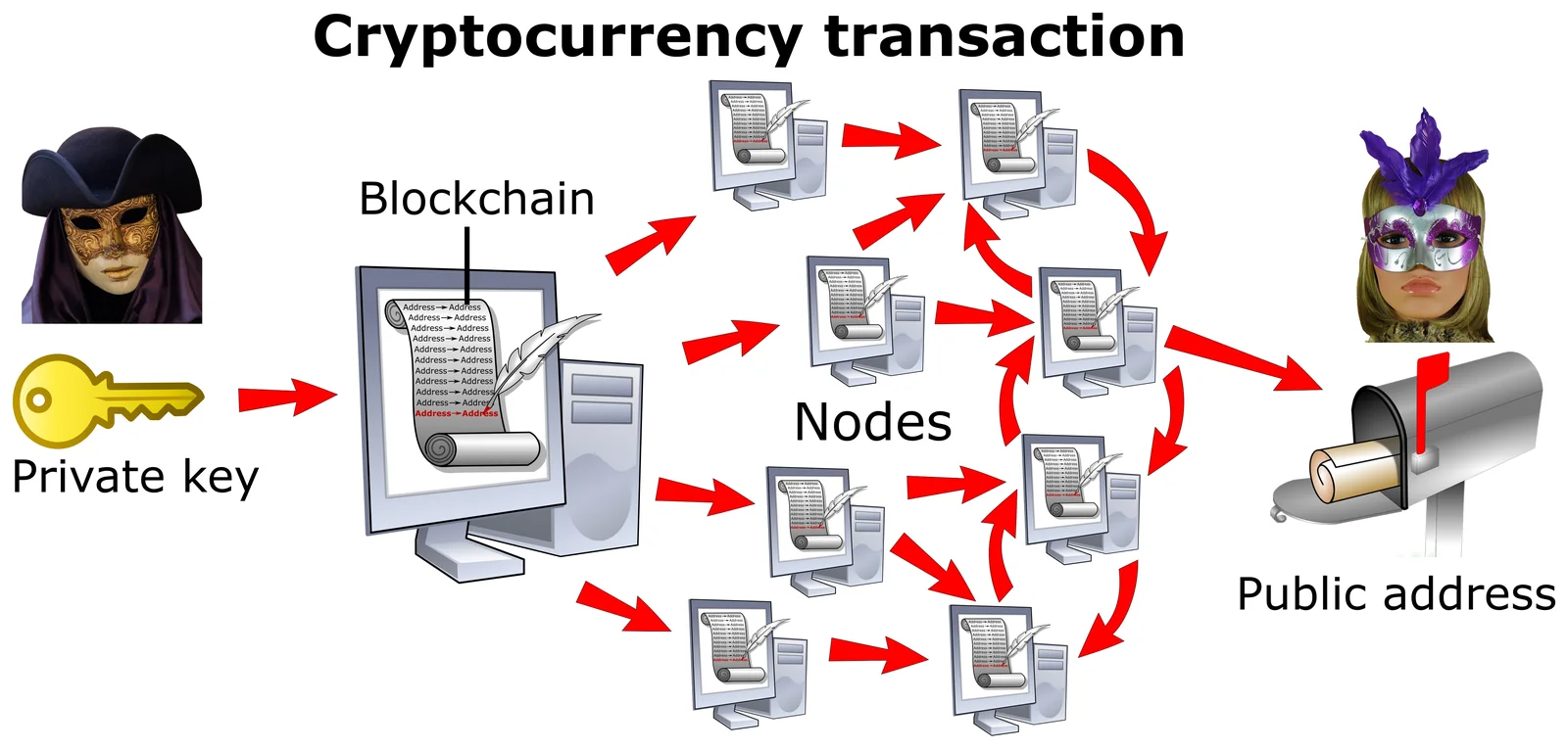 Diagram of a crypto transaction moving from a private key through blockchain nodes to a public address, illustrating crypto sent to the wrong network
