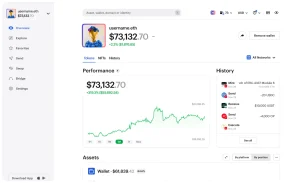 Zerion Wallet desktop interface showing a multi-chain portfolio, performance chart and transaction history